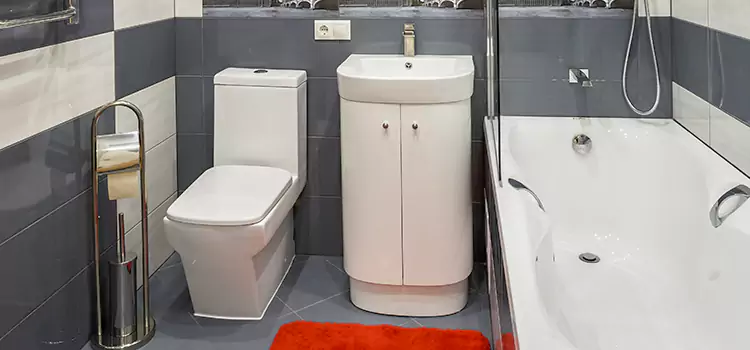 Hansgrohe Shaving Mirror Hemet